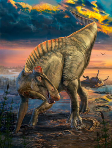 Rare Dinosaur Mummies Help Scientists Recreate Their Prehistoric Lives